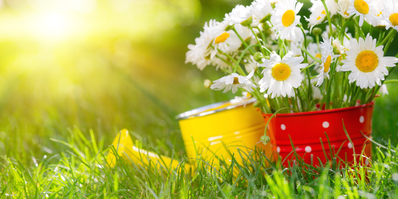 spring air conditioning checkup little rock ar